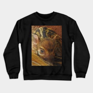 Red River Hog Piglet Crewneck Sweatshirt